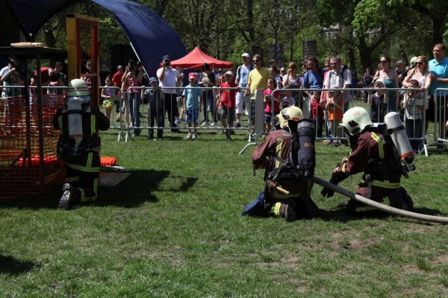 image img_0178-jpg